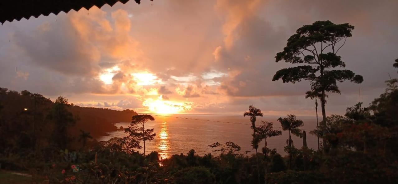 Bella Vista Corcovado Hotel Drake Bay Exterior photo