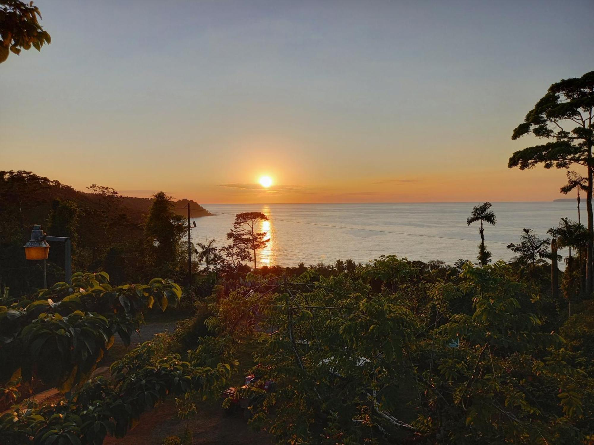 Bella Vista Corcovado Hotel Drake Bay Exterior photo